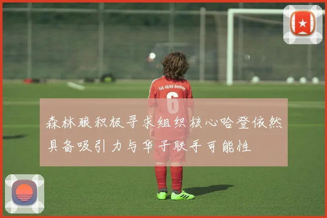 森林狼积极寻求组织核心哈登依然具备吸引力与华子联手可能性