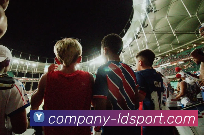 乐动体育APP 封面图